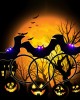 Kids Halloween LED Luminous Bat Hair Band