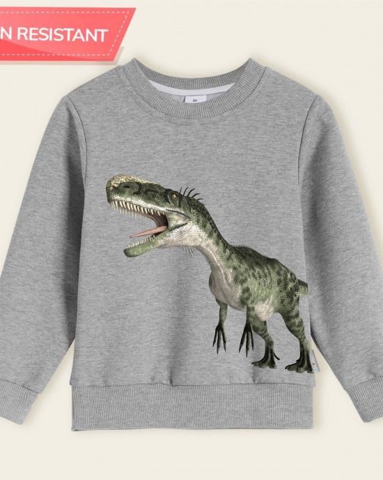 【12M-9Y】Boy Cotton Stain Resistant Dinosaur Print Long Sleeve Sweatshirt