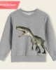 【12M-9Y】Boy Cotton Stain Resistant Dinosaur Print Long Sleeve Sweatshirt