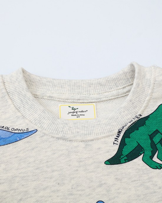 【18M-7Y】Boy Casual Colorful Dinosaur Printed Round Neck Sweatshirt