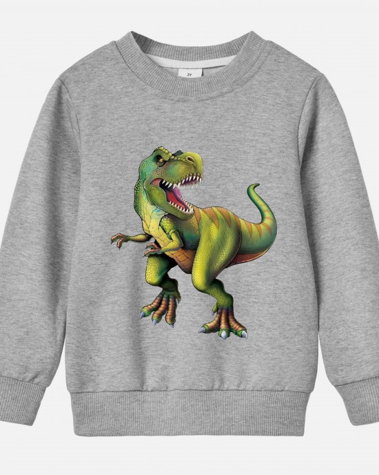 【12M-9Y】Boy Cotton Stain Resistant Dinosaur Print Long Sleeve Sweatshirt