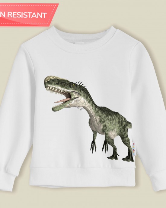 【12M-9Y】Boy Cotton Stain Resistant Dinosaur Print Long Sleeve Sweatshirt