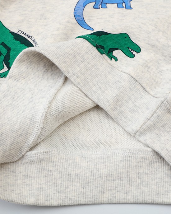 【18M-7Y】Boy Casual Colorful Dinosaur Printed Round Neck Sweatshirt